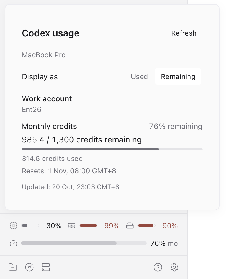 Codex Enterprise Usage 截图 1