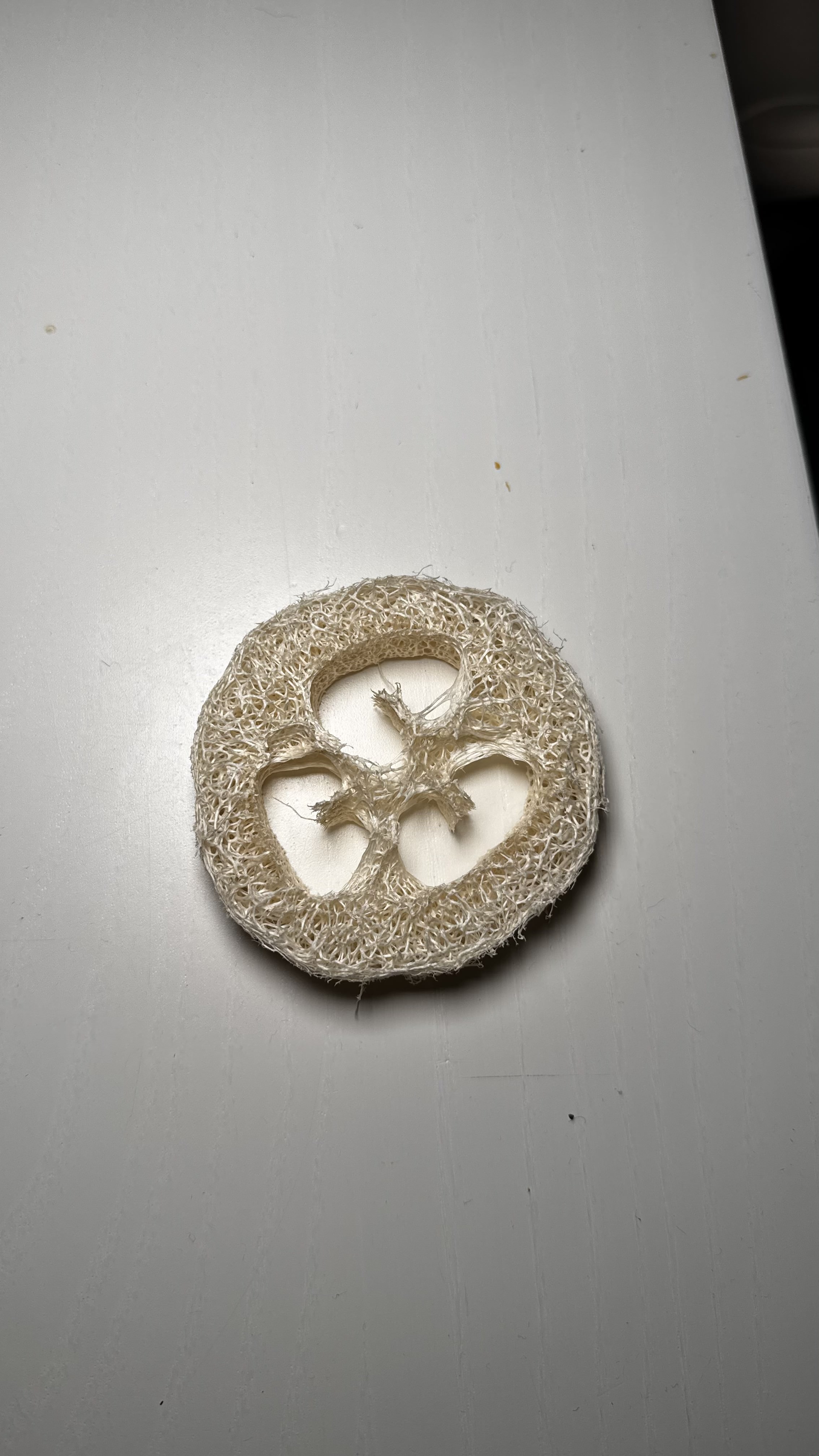 Tvålunderlägg Lifa