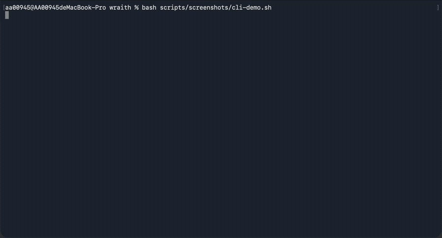 Wraith CLI 启动