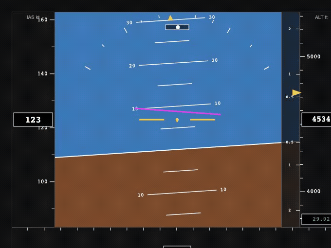 Primary Flight Display with flight director