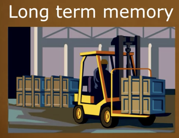 Long Term Memory