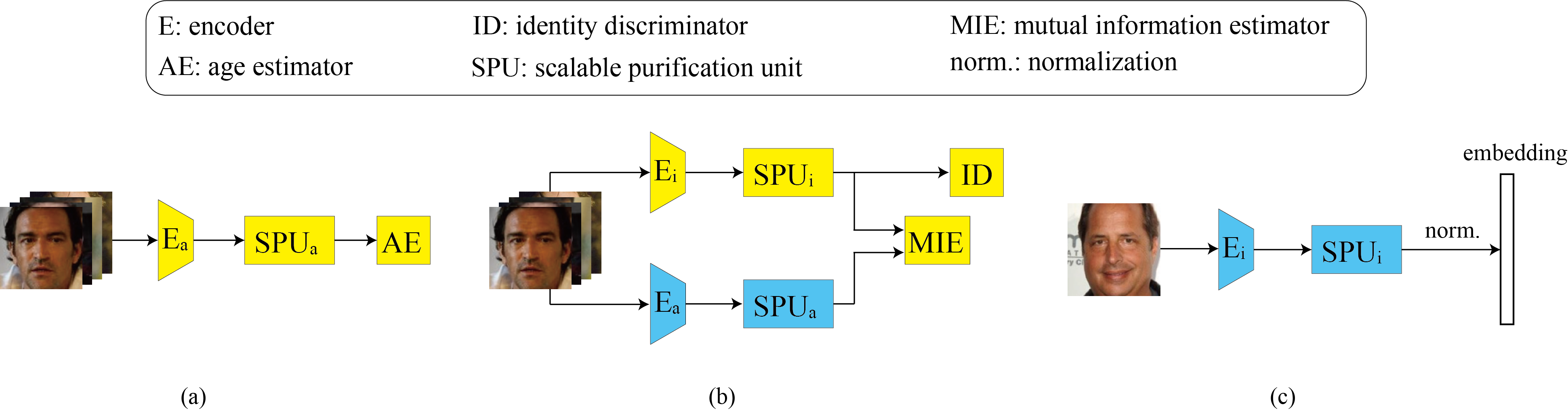 IEFP framework