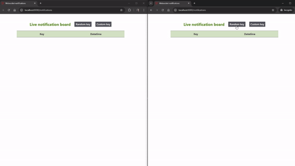 websocket_preview