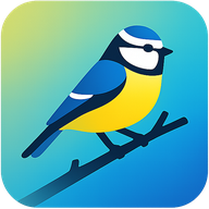 YA-WAMF app icon