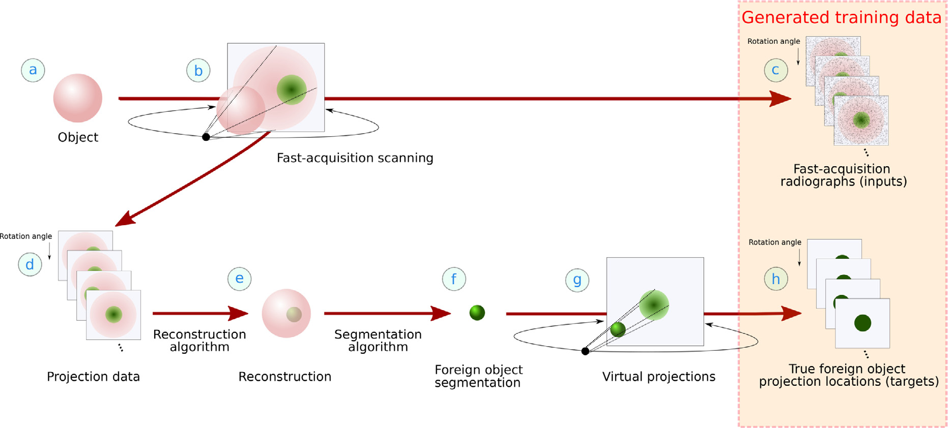 The complete workflow of data acquisition (a, b) and the generation of training data (c, h) for deep learning driven foreign object detection, through 3D reconstruction from the CT scan (d, e), segmentation (f), and virtual projections (g). The reconstruction reveals the hidden foreign objects inside the main object. Note that the projection data (d) is usually just the set of fast-acquisition radiographs (d).