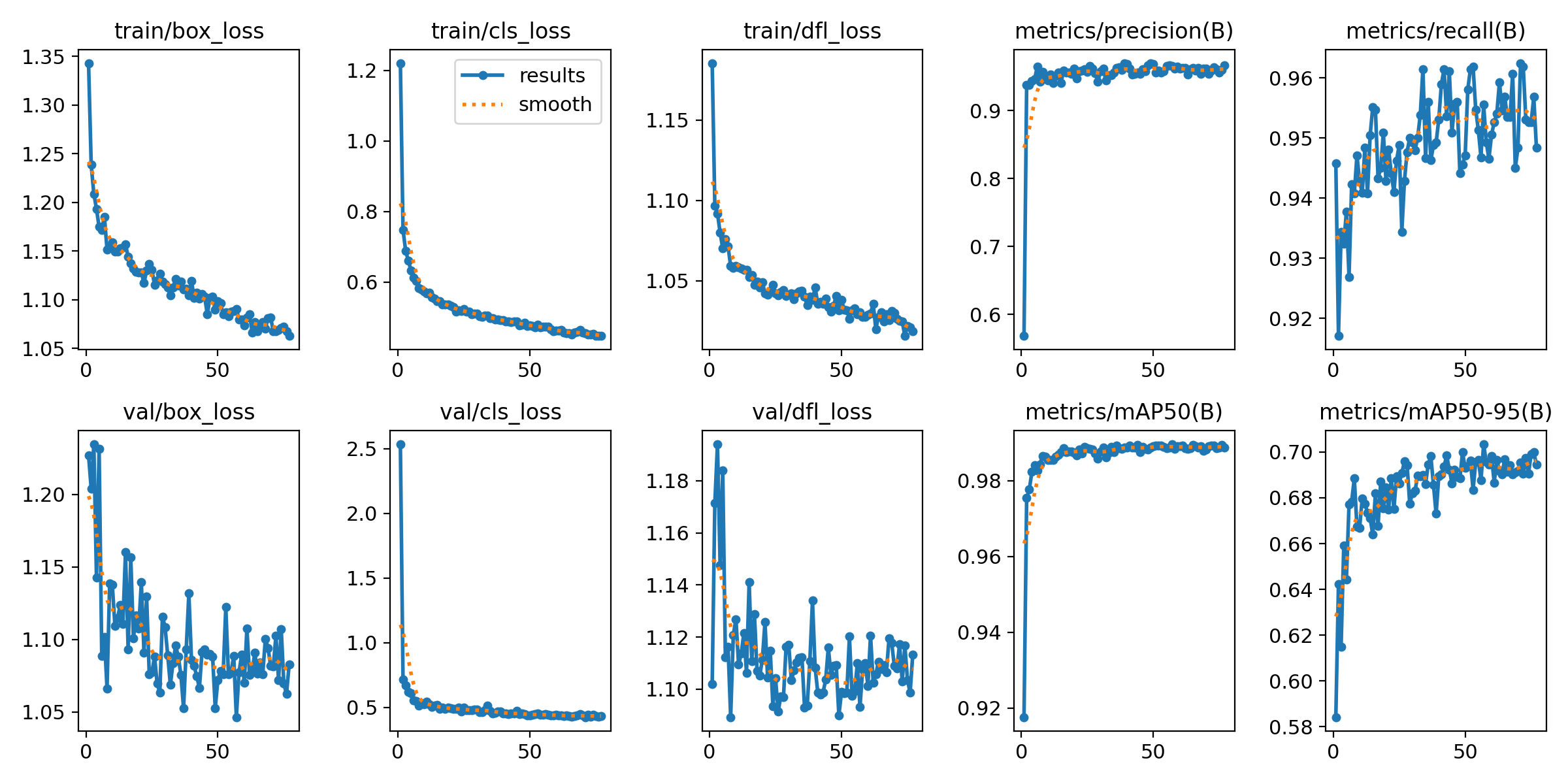YOLOv11-n mango detector training and validation metric history
