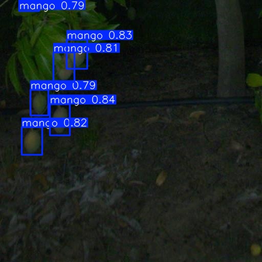 First mango detection example with multiple bounding boxes
