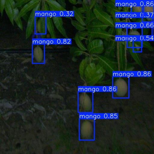 Second mango detection example showing fruit under varied lighting
