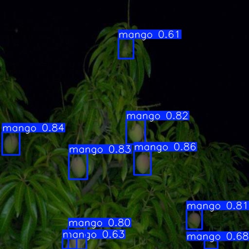 Third mango detection example showing clustered fruit