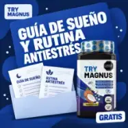 Guía de rutina y alimentación