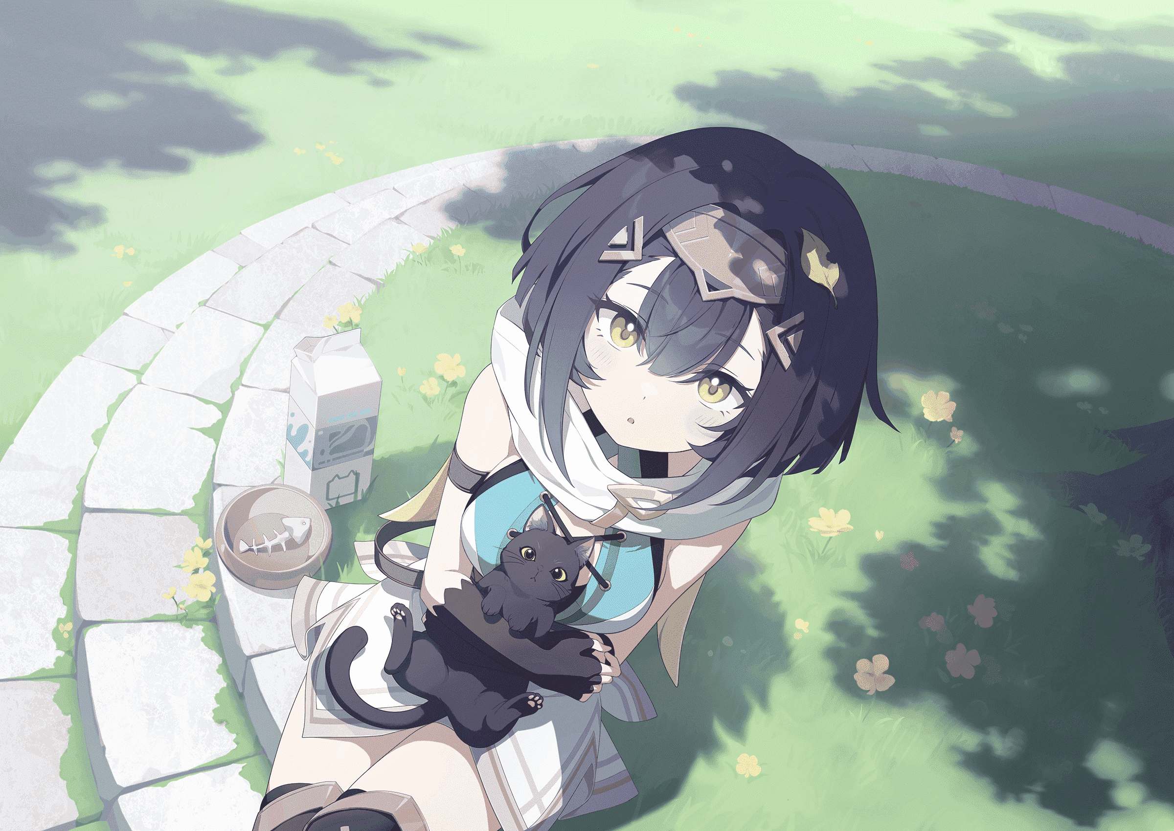 コハク