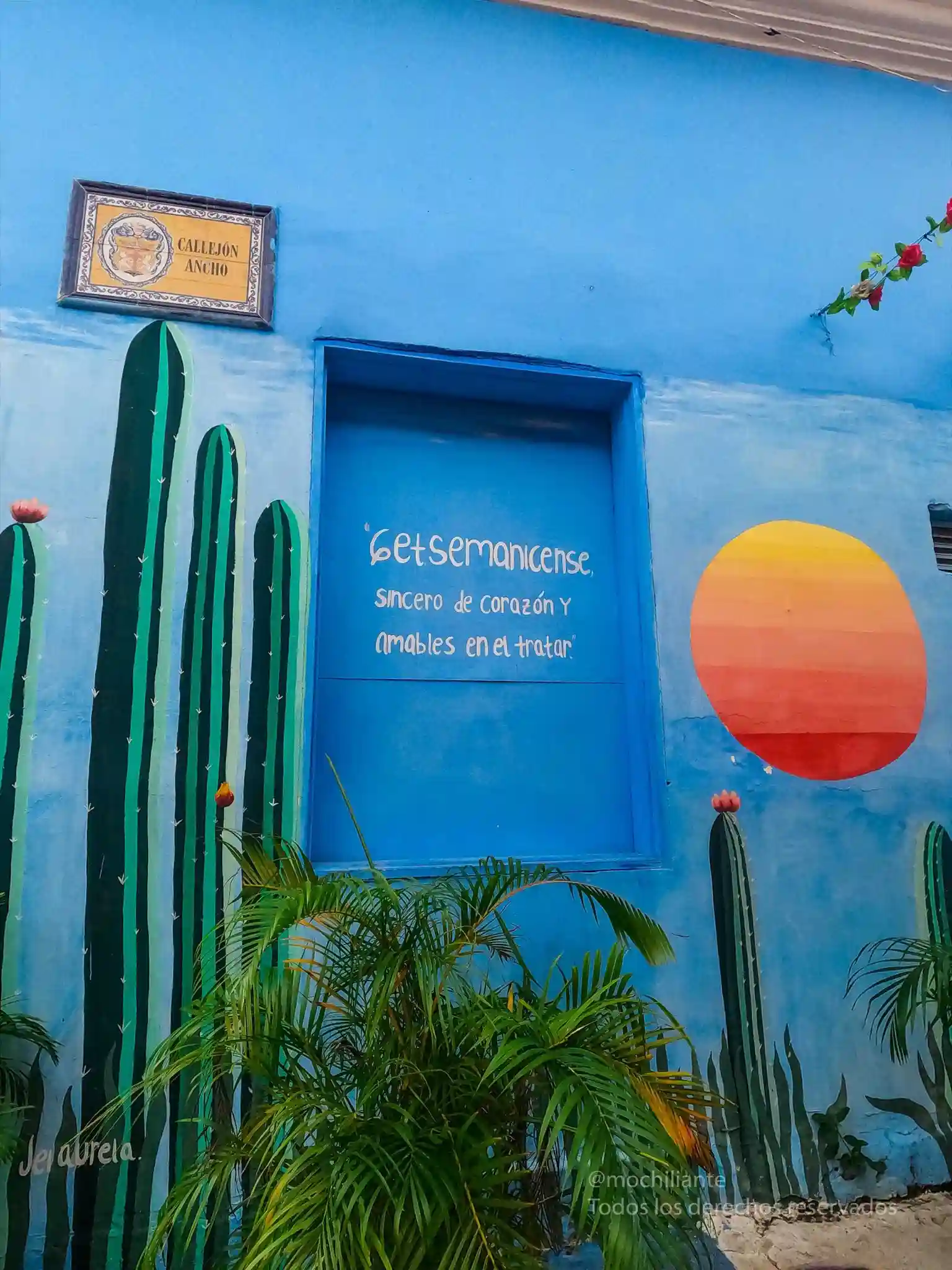 puerta, azul, cactus, pintado 