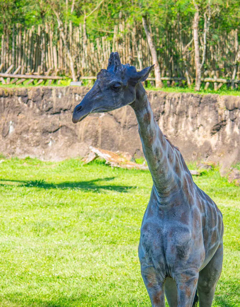 Biopark Ukumarí: Anreise, Aktivitäten und Unterkünfte