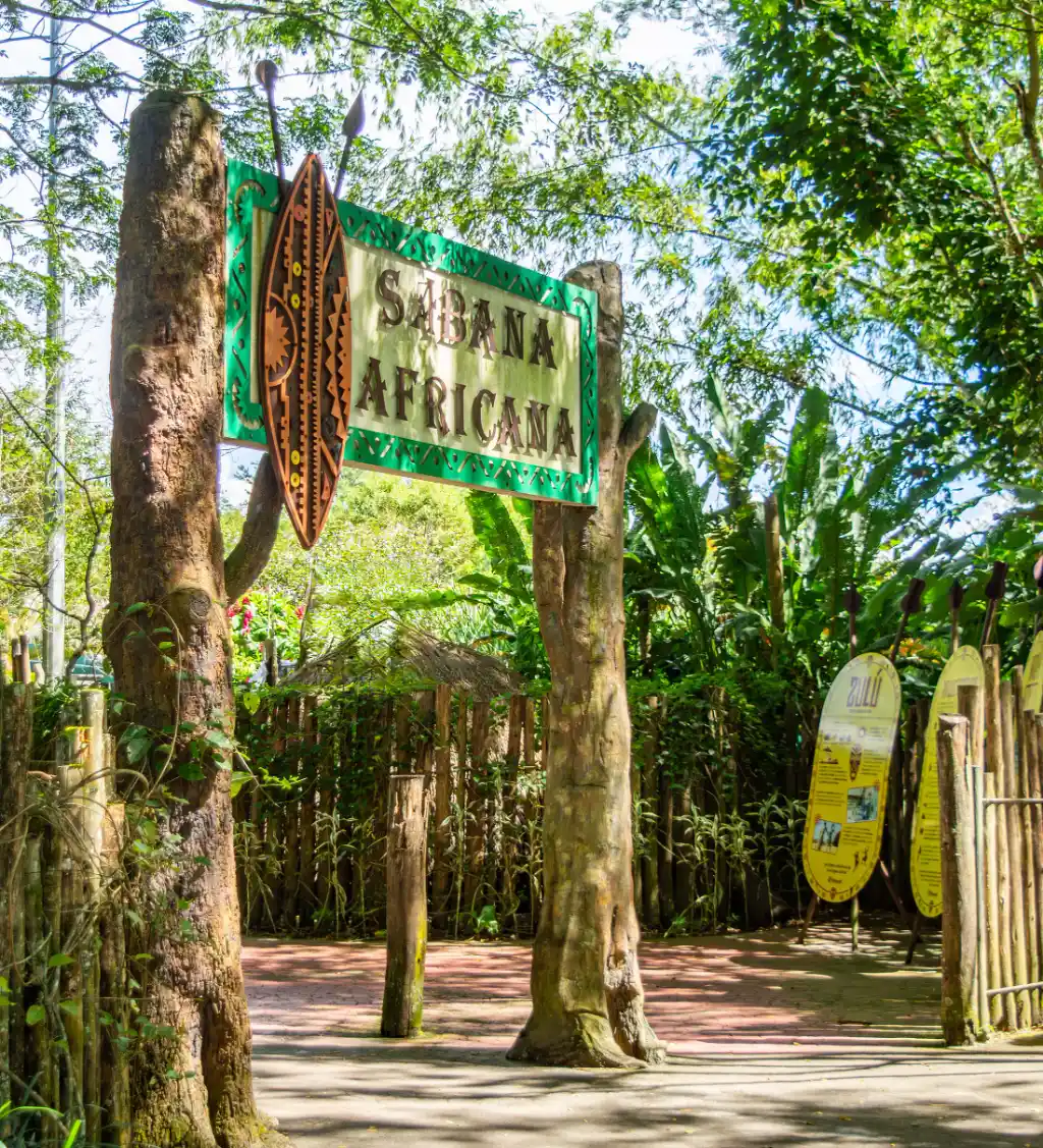 Ukumarí Afrika