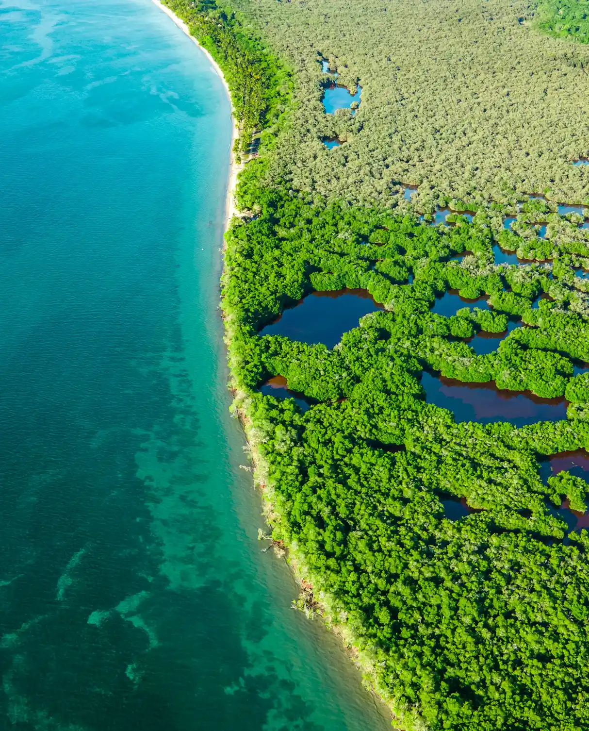 Descubre los Tesoros Naturales y Parques de Colombia