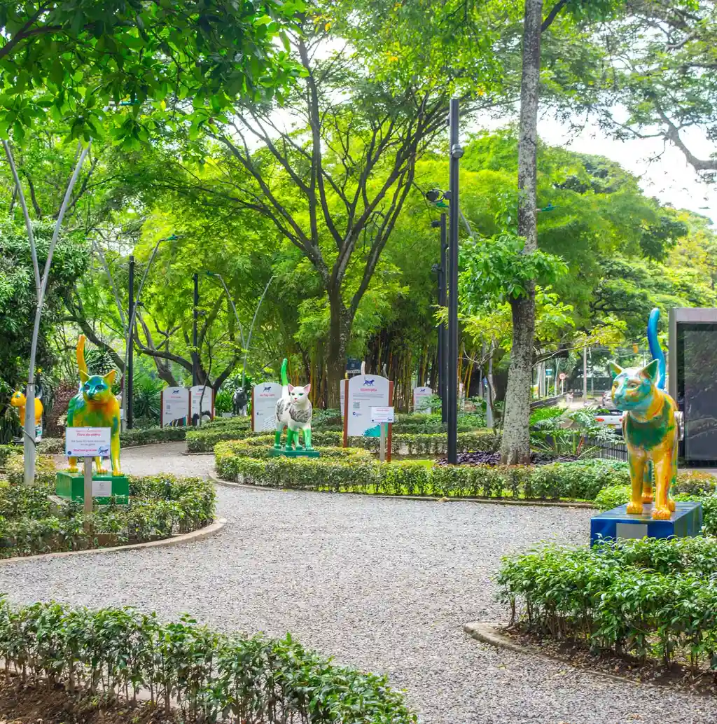 Parque do gato Cali
