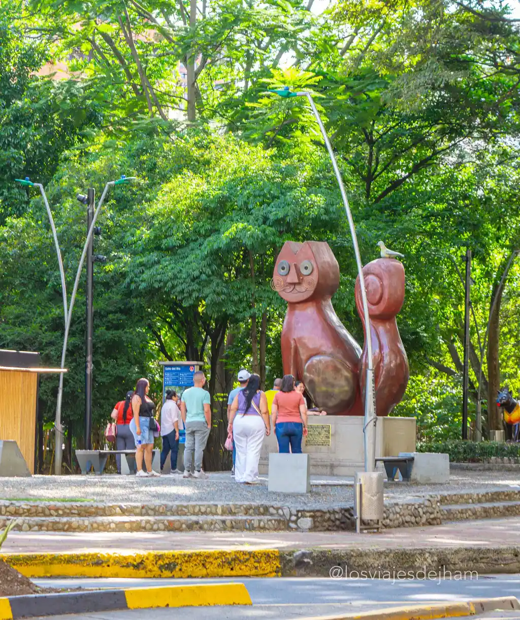 Parque do gato Cali
