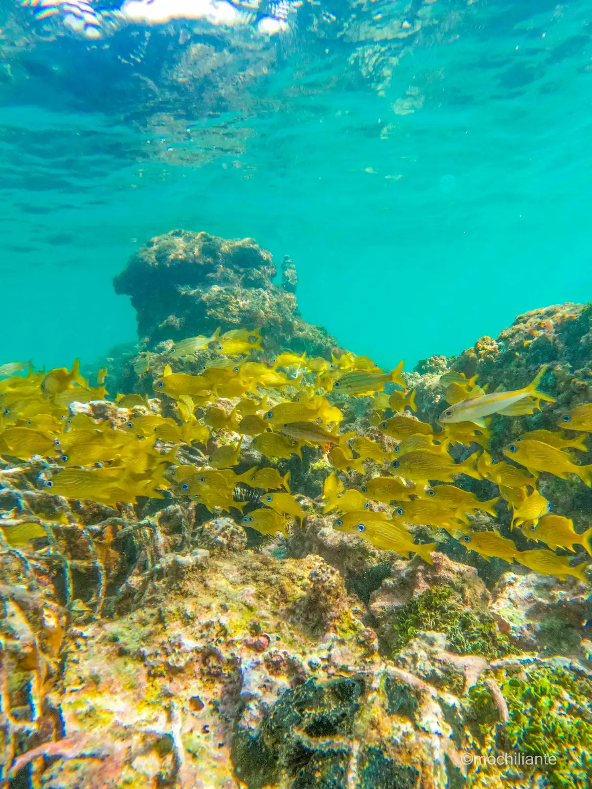 Buceo en Islas del rosario