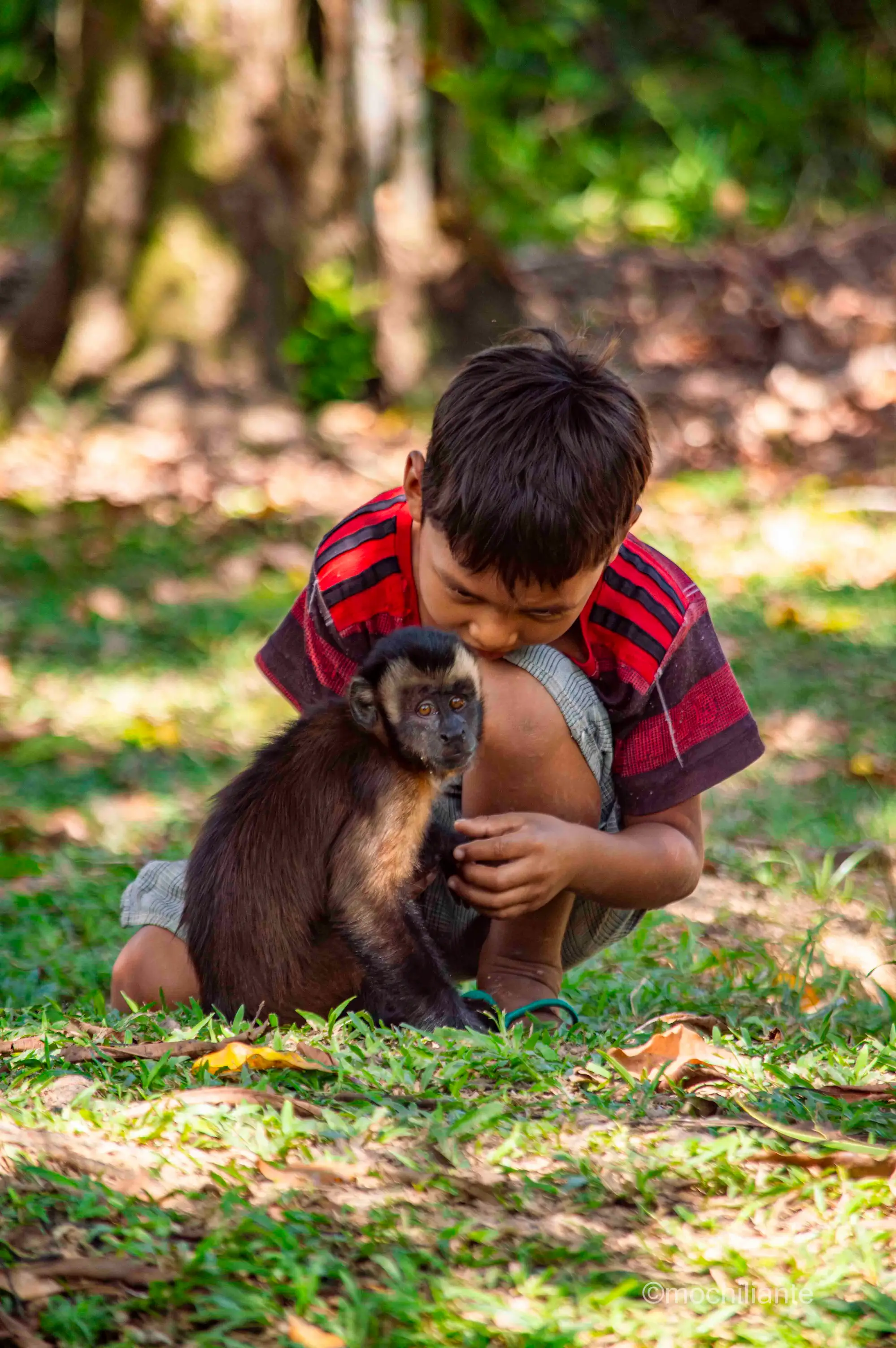 niño con mono amazonas