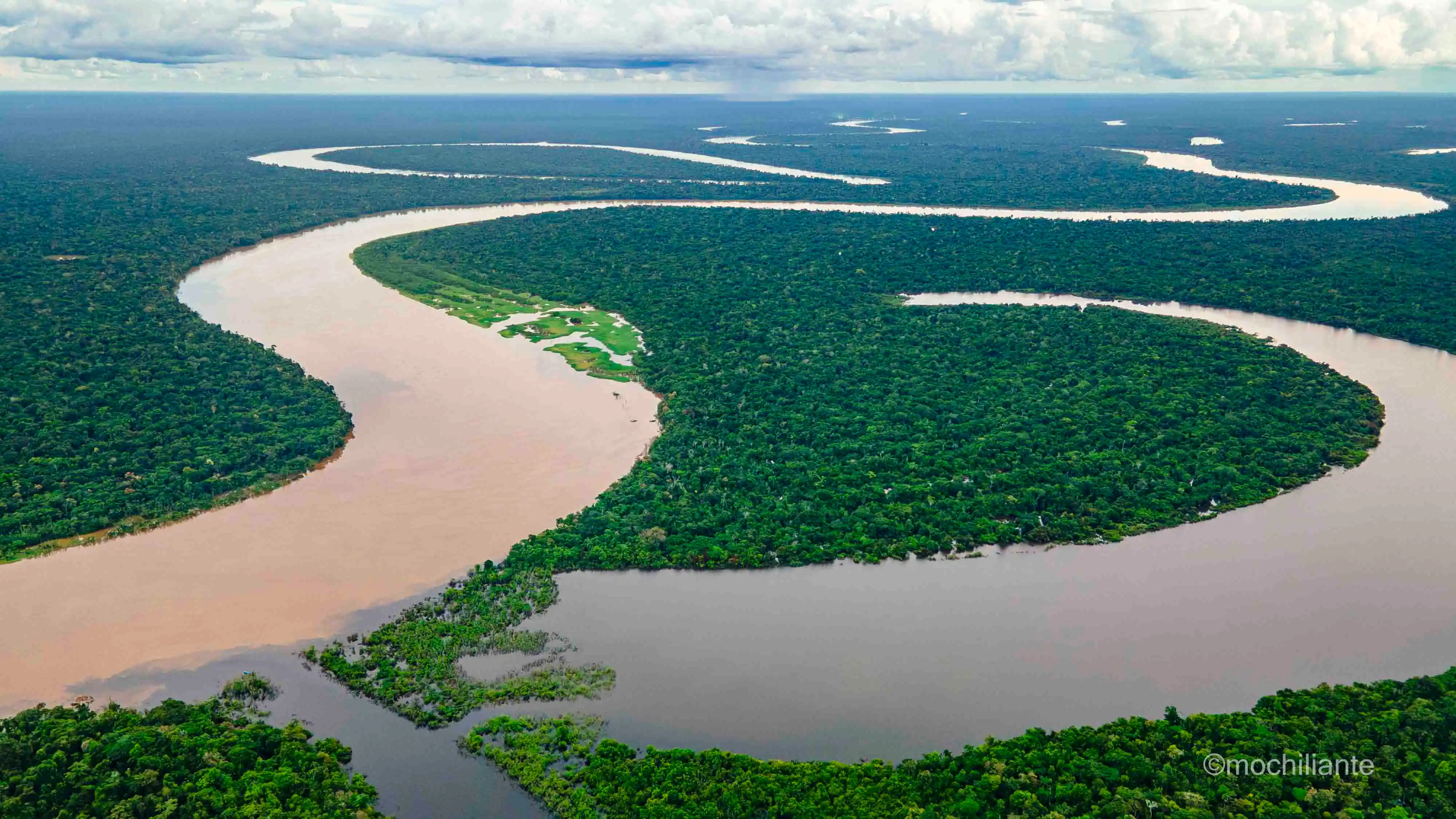 rio amazonas, selva