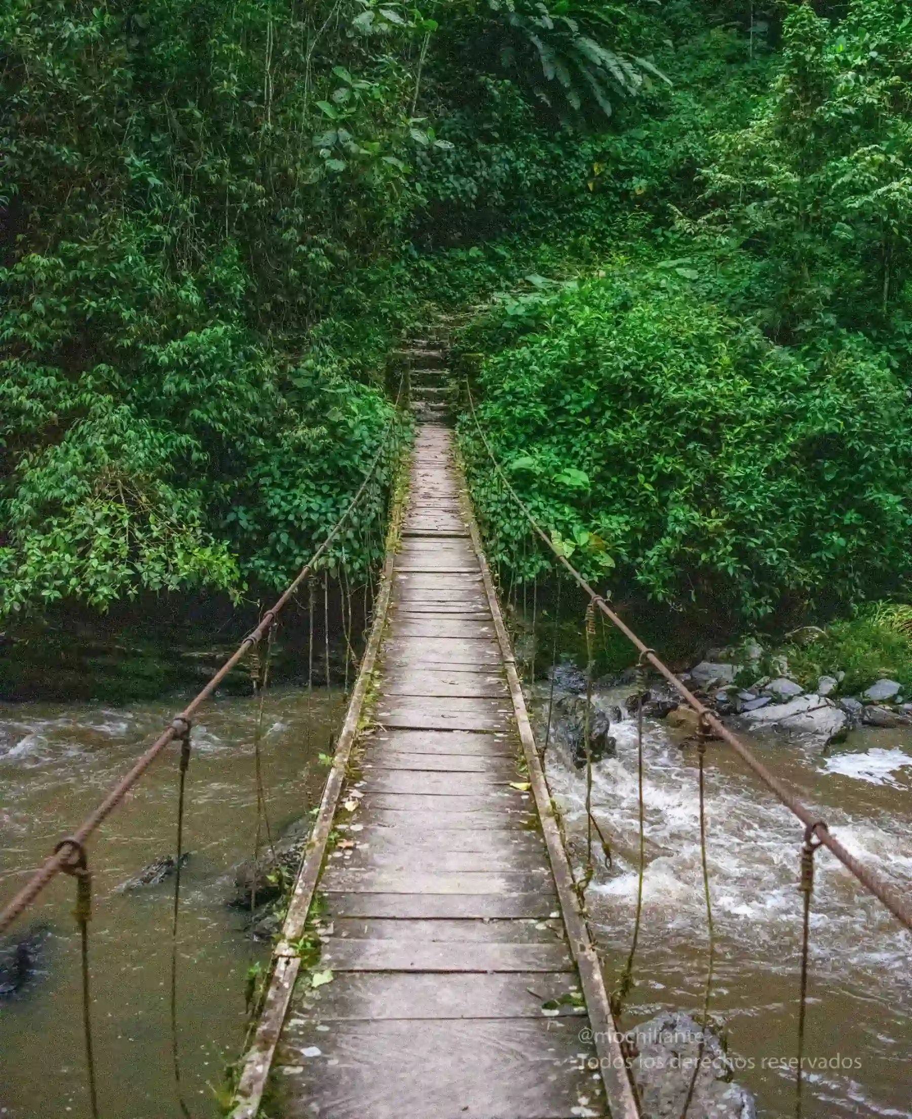 puente de madera en tisquizoque