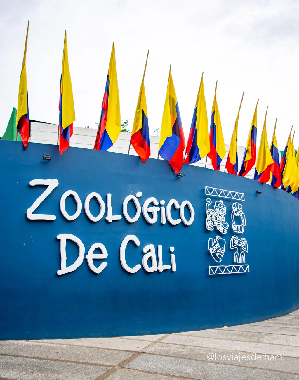 Guia do Zoológico de Cali: como chegar, o que fazer e onde se hospedar