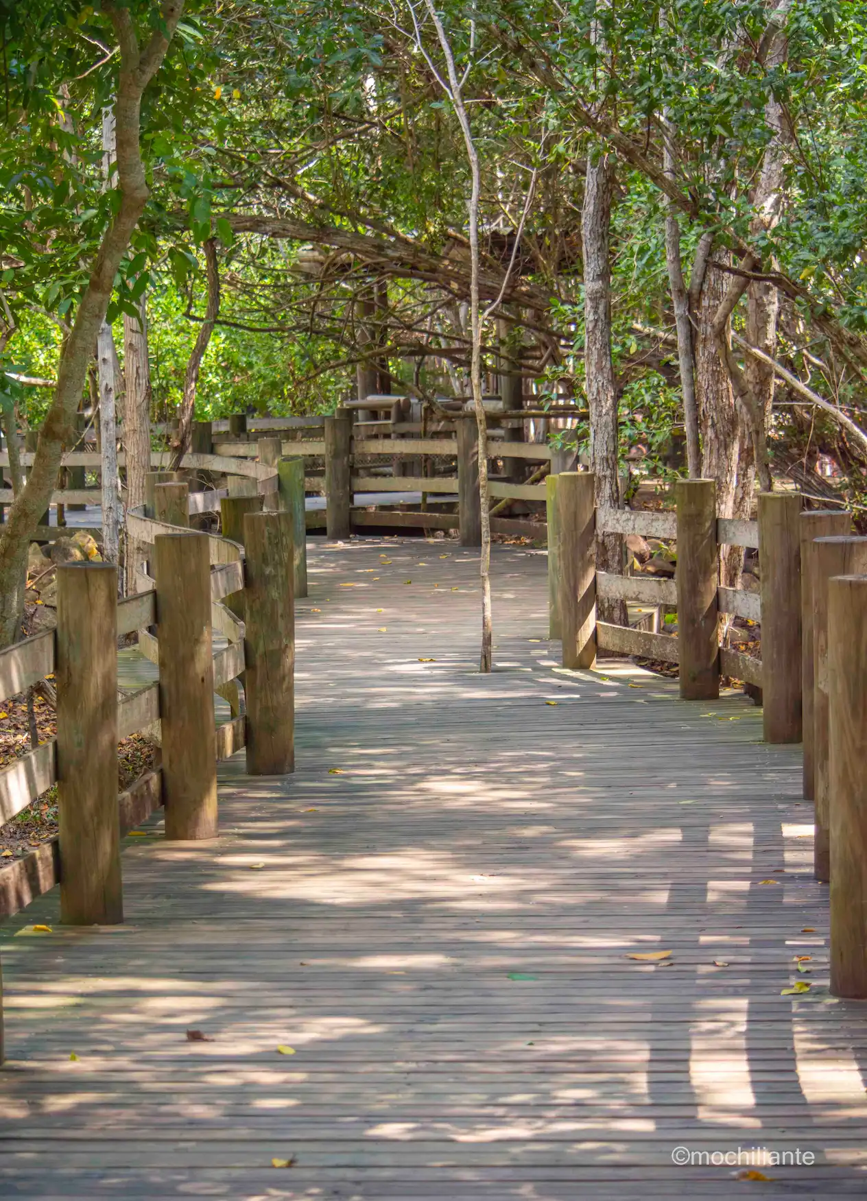 Caminata Aviario de Cartagena