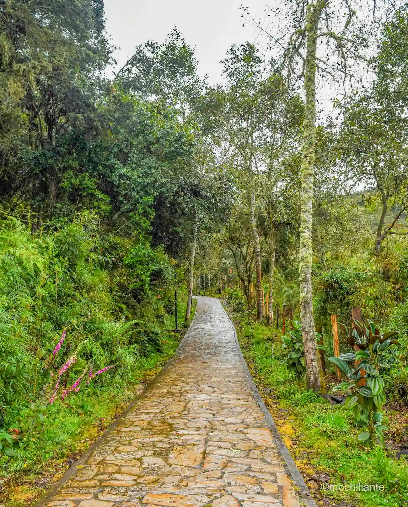 Caminata a la Laguna de Guatavita