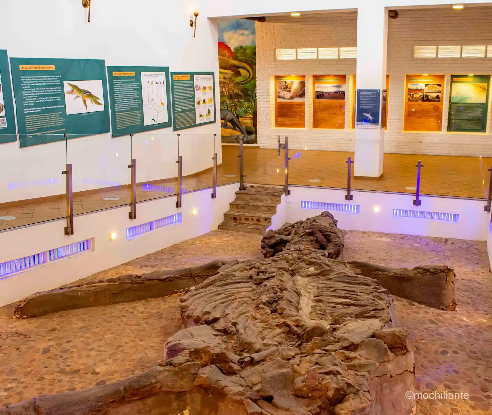 Kronosaurus villa de Leyva