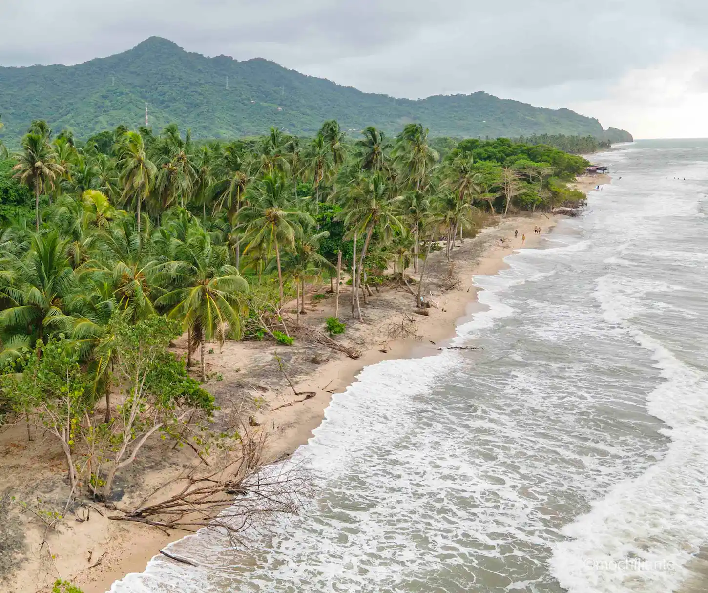 Playa de Palomino