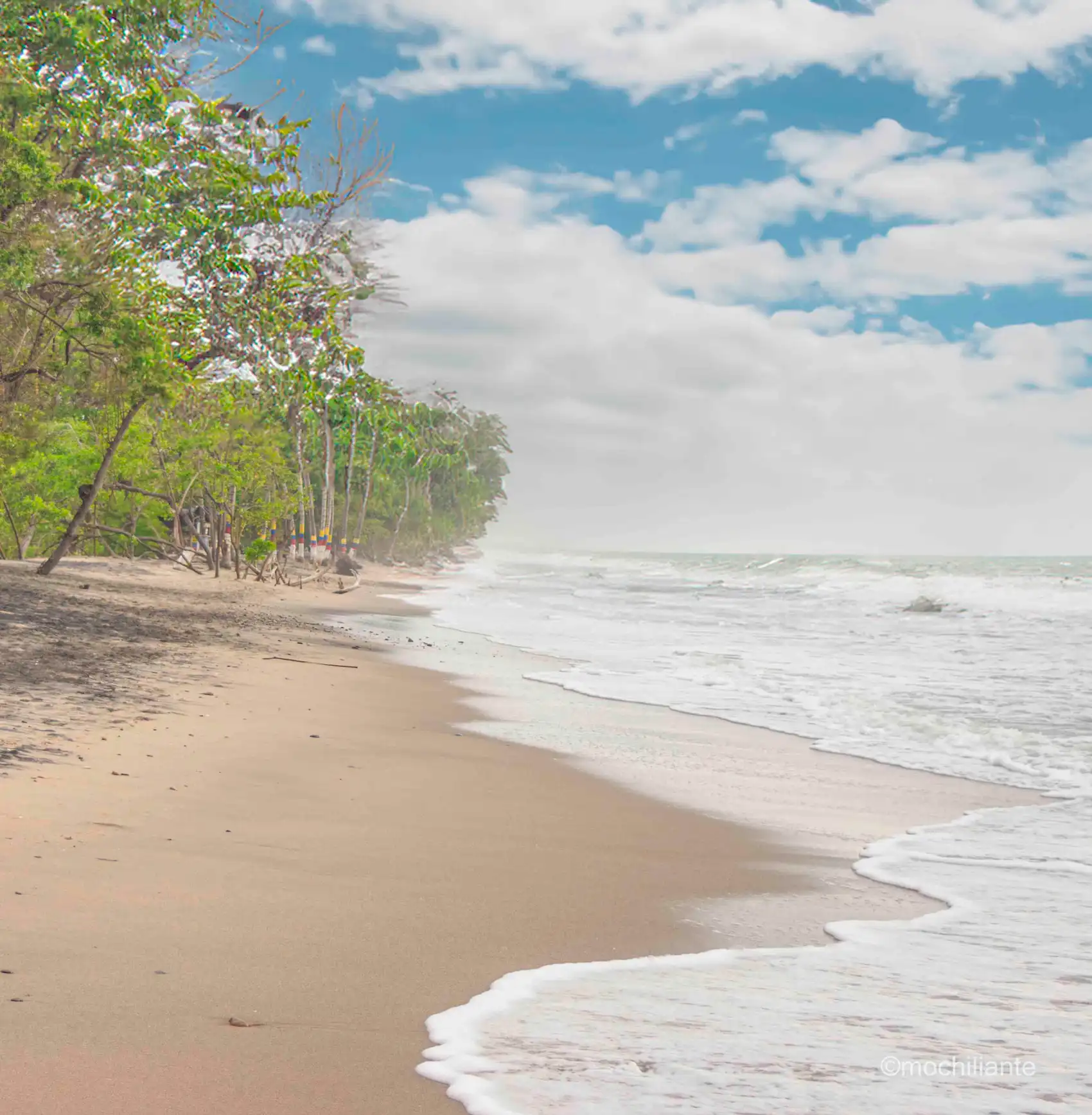 Palomino en La Guajira: Dónde Queda, Cómo Llegar, Qué Hacer y Todo lo que Necesitas Saber