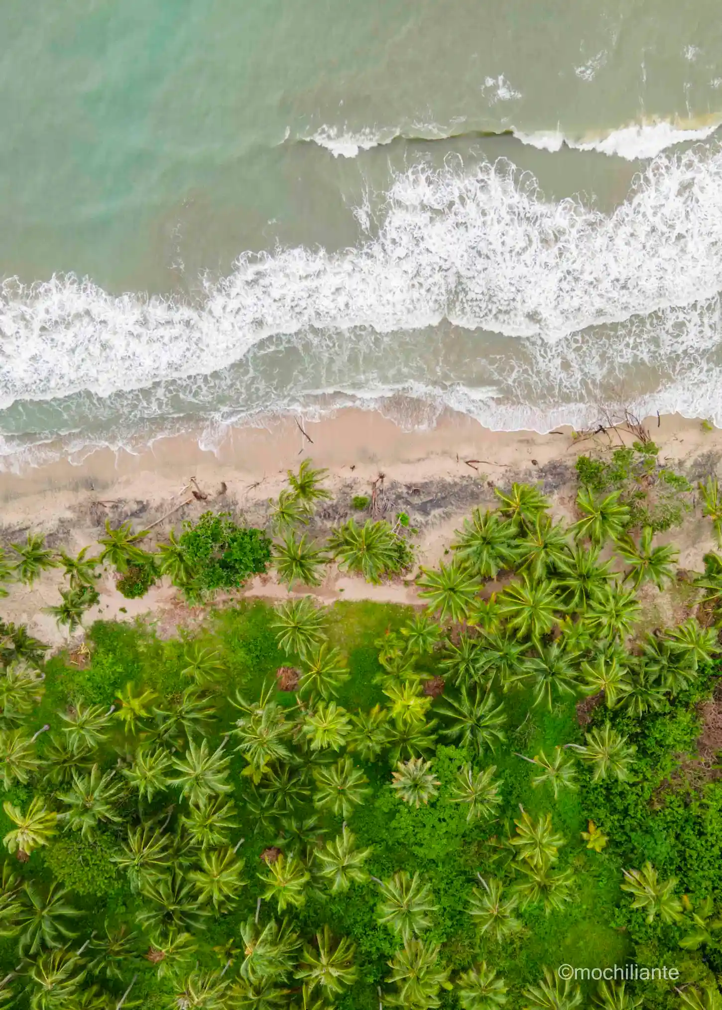 Panorámica aérea playa Palomino