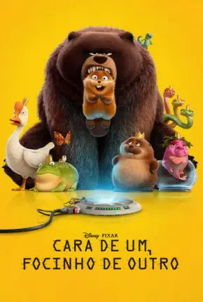 Assistir Cara de Um, Focinho de Outro (2026) online