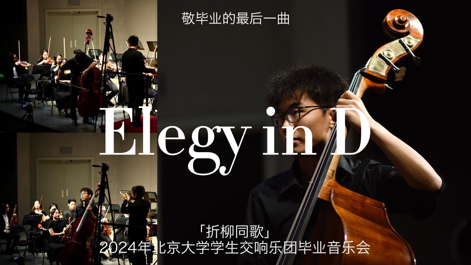 Elegy in D performance cover