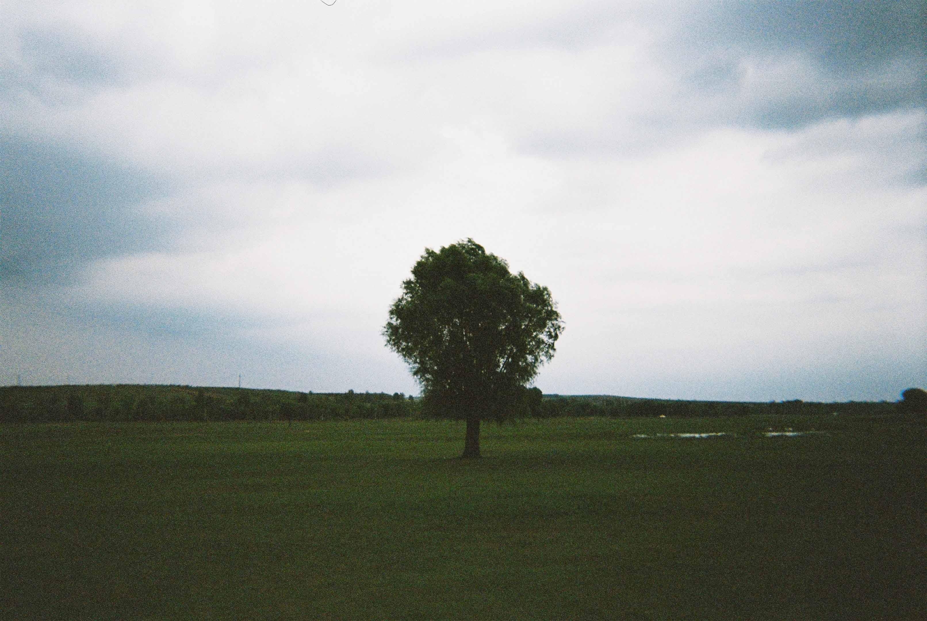 Listening to the Breath of Nature
