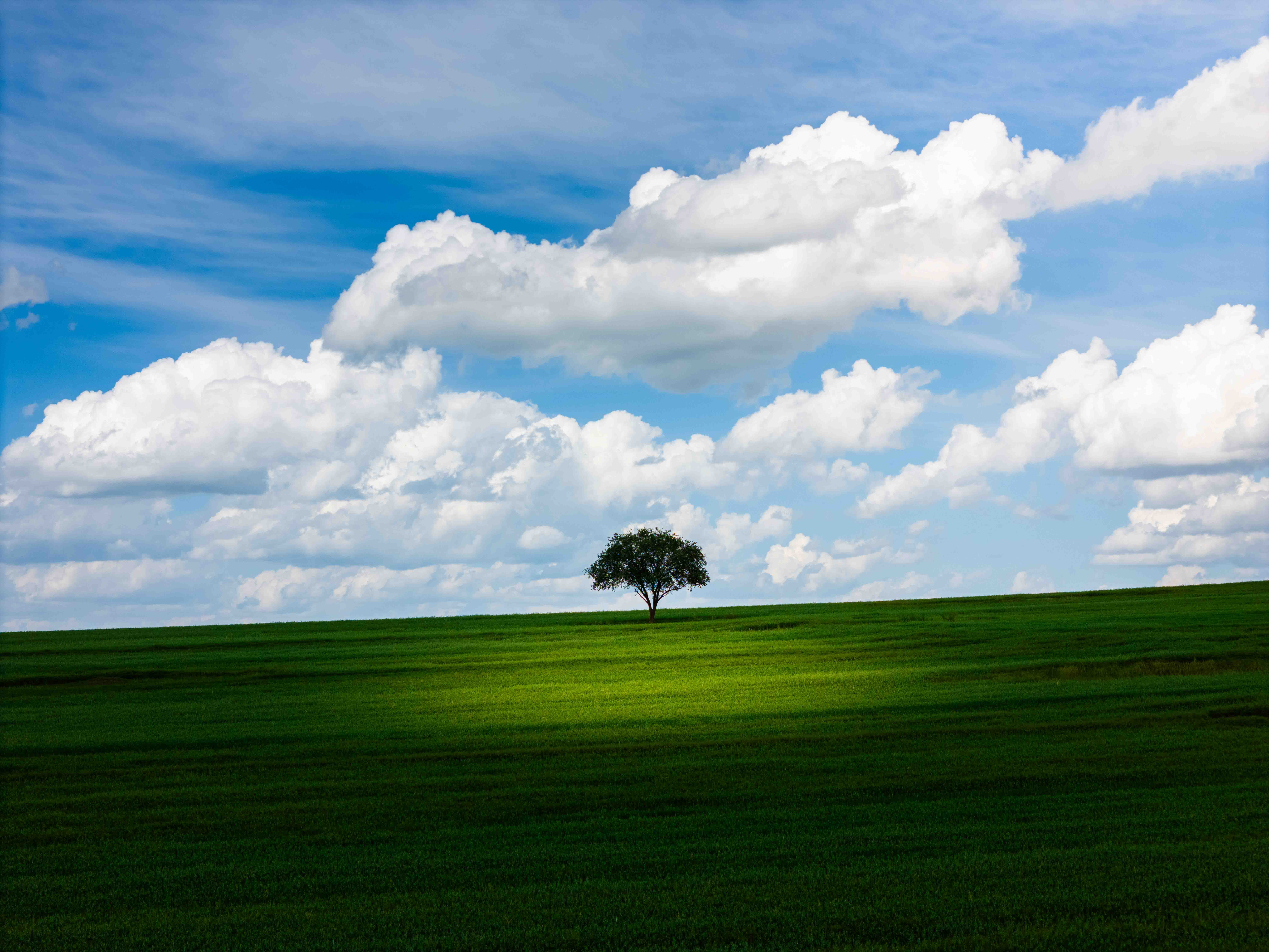 Natural Landscapes
