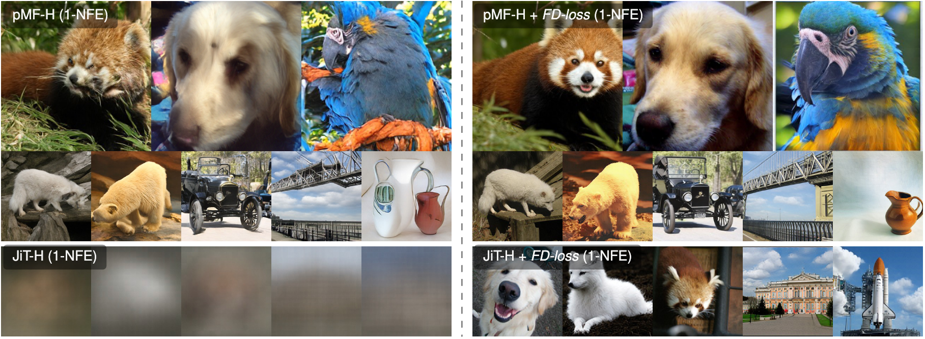 FD-Loss visual overview