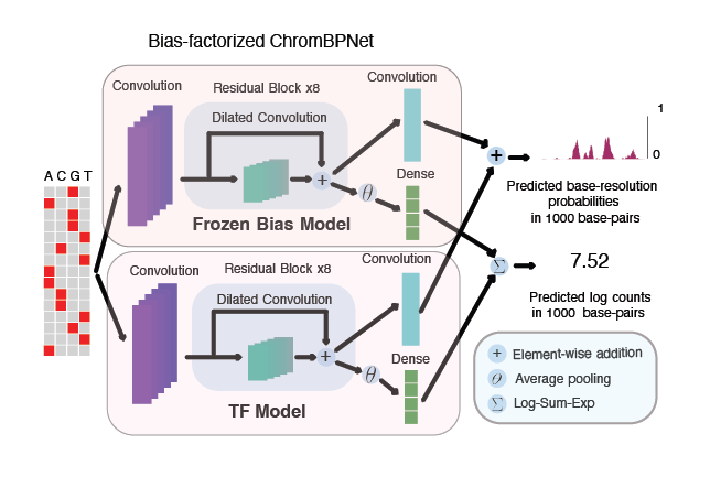 ChromBPNet