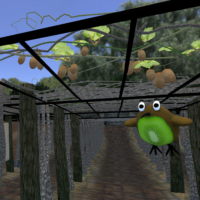 Kiwifruit Winter — module thumbnail