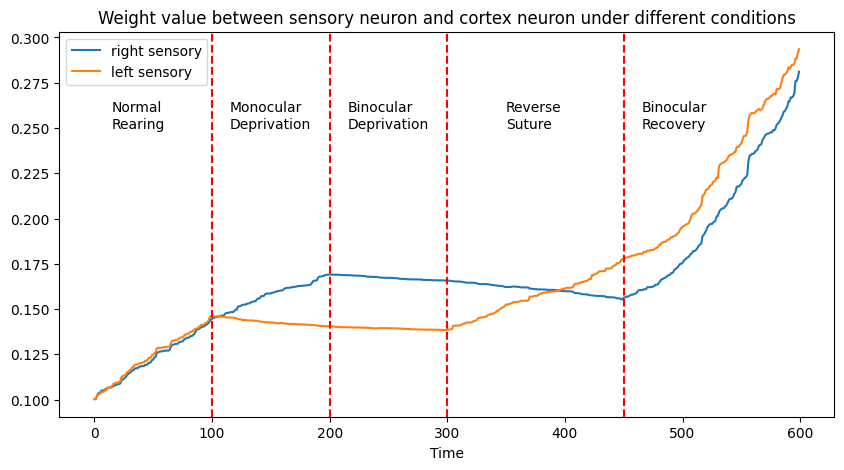 Weight value between sensory neuron and cortex neuron under different conditions