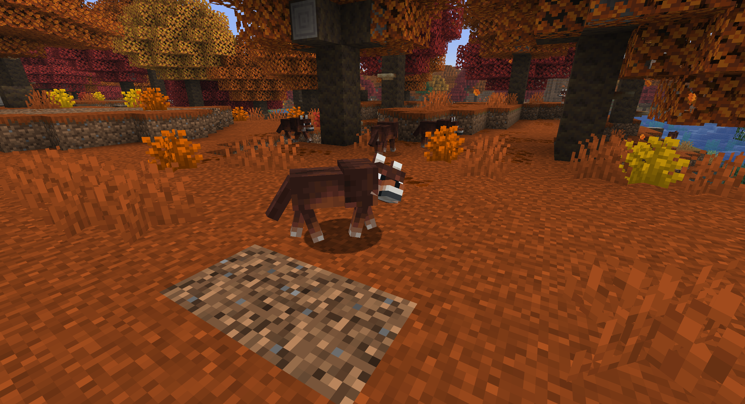 auburn_wolf.png