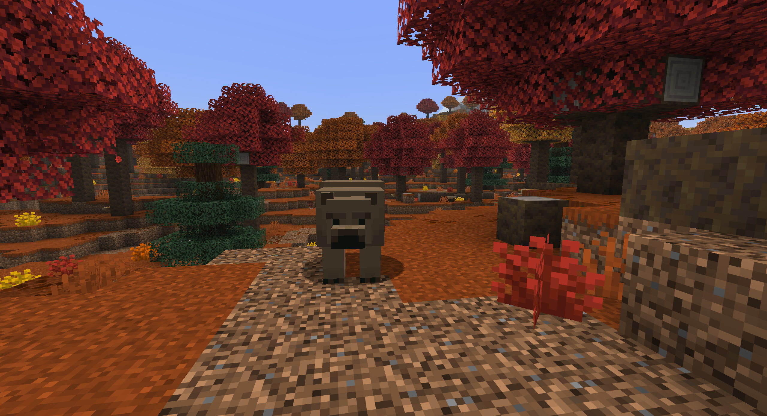 brown_bear.png