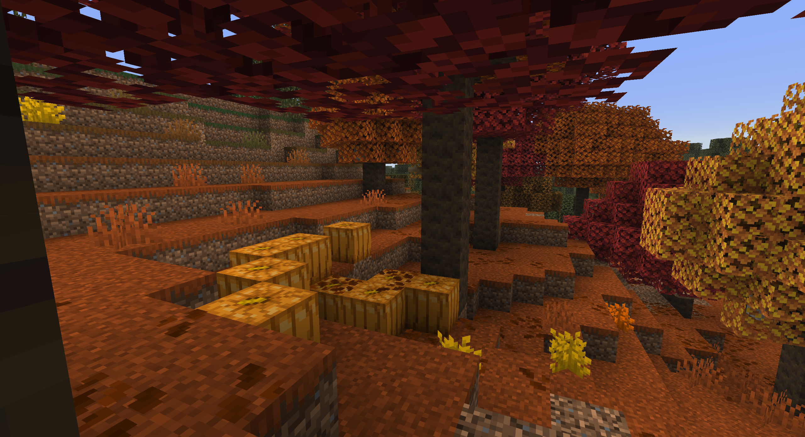 pumpkins.png