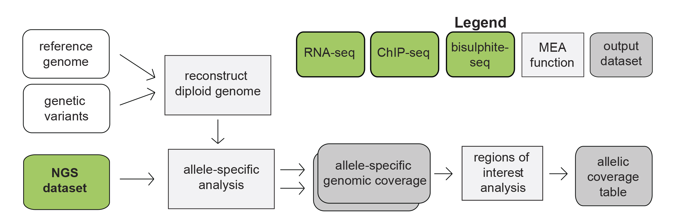 MEA Pipeline