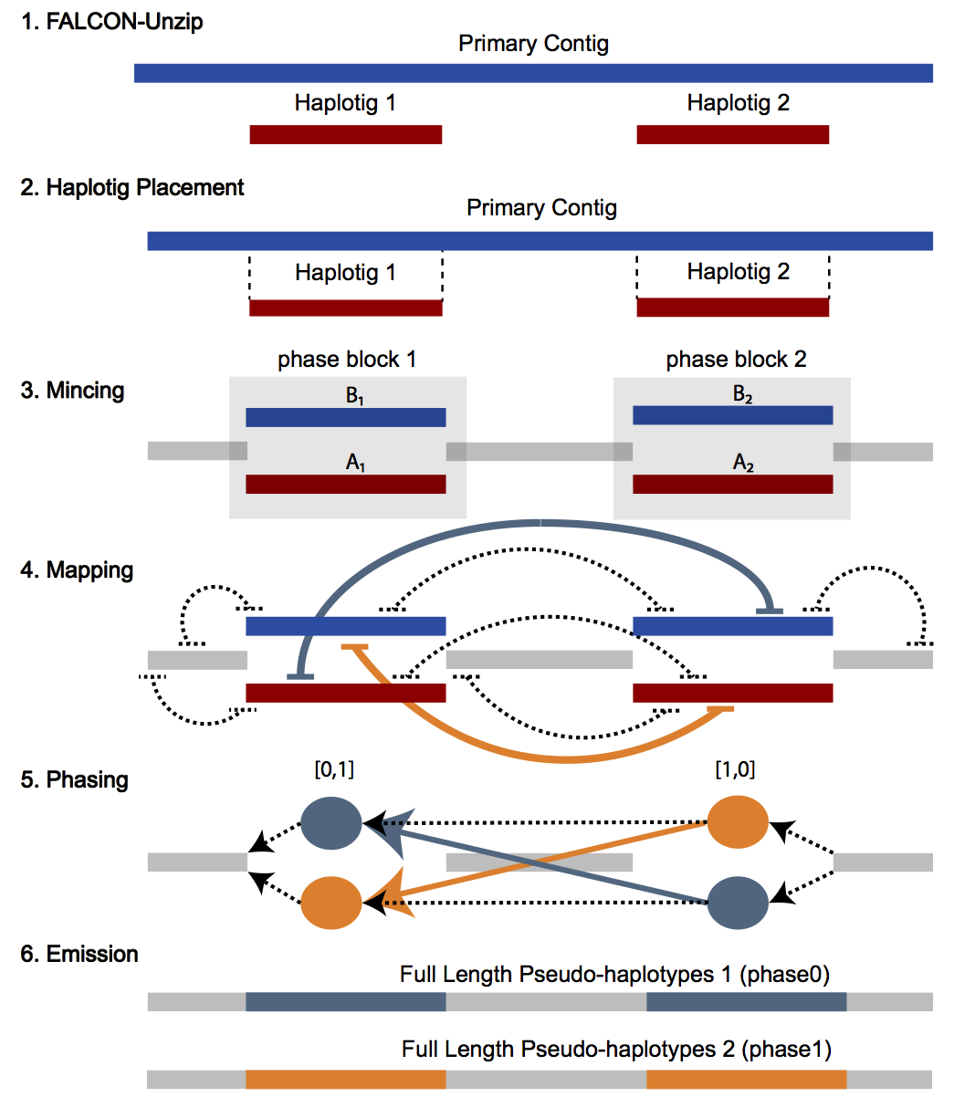 FALCON Phase pipeline