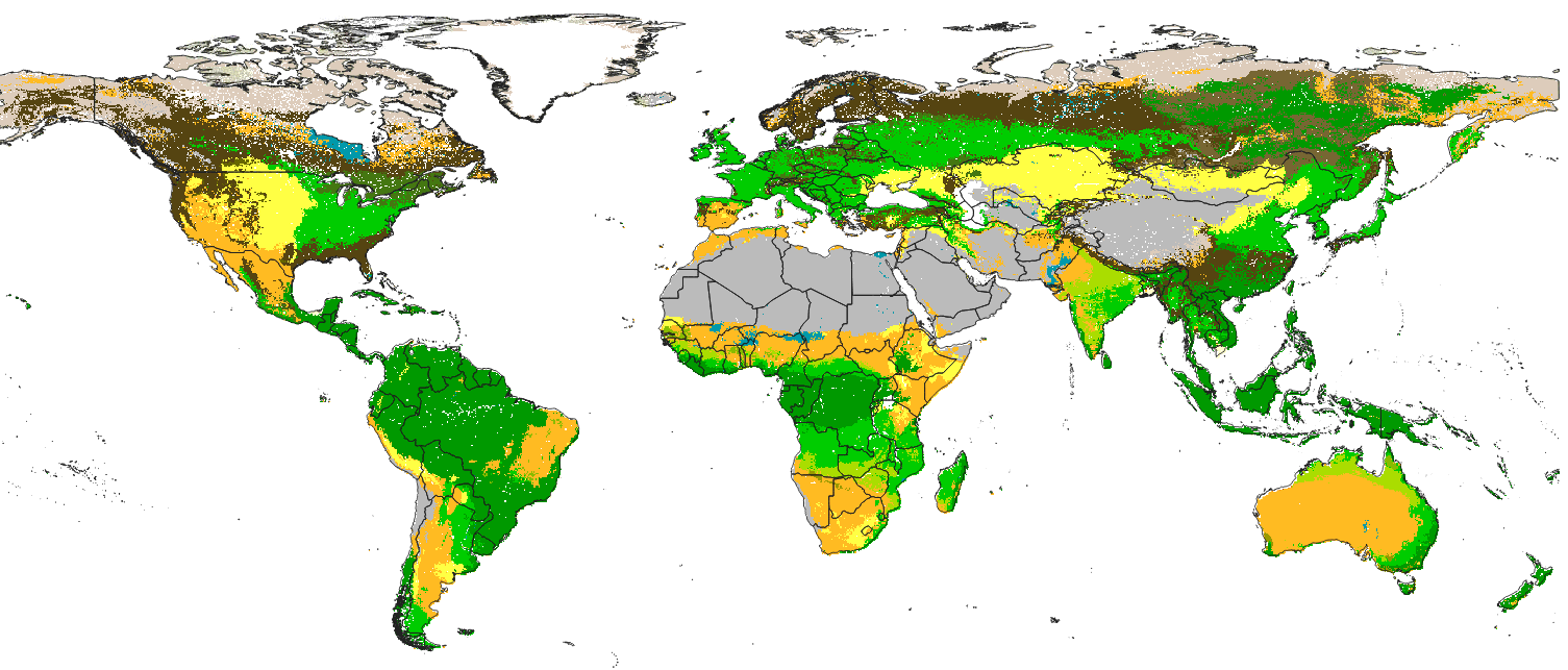 GLC map at 250m