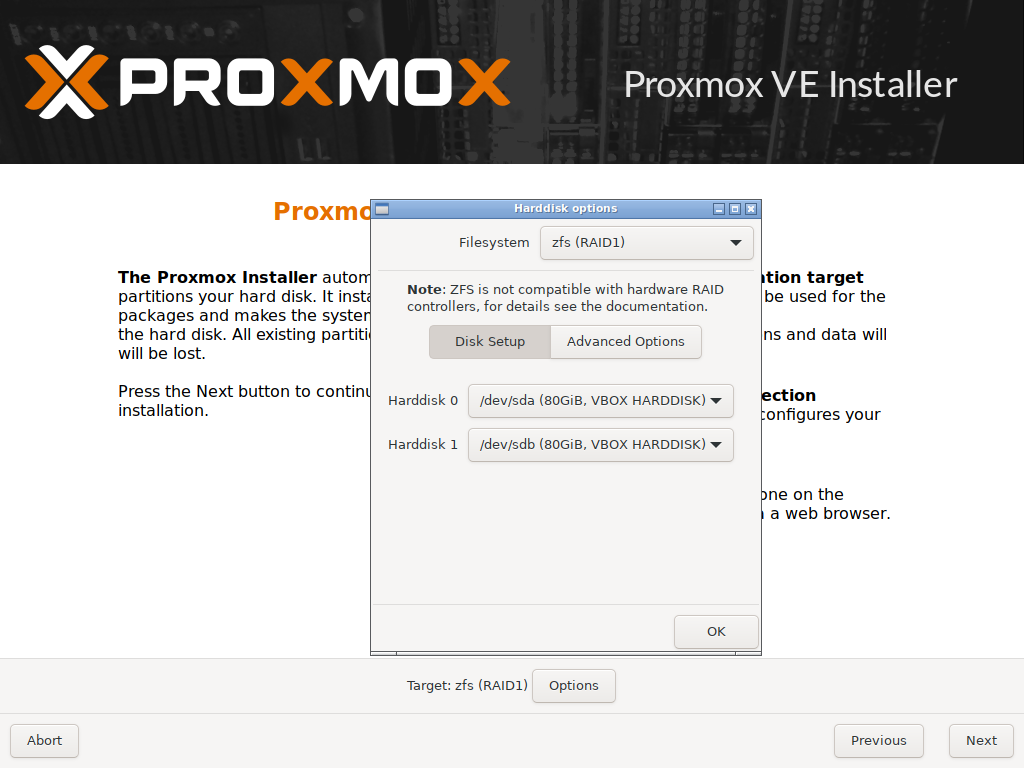 Proxmox Disk Setup