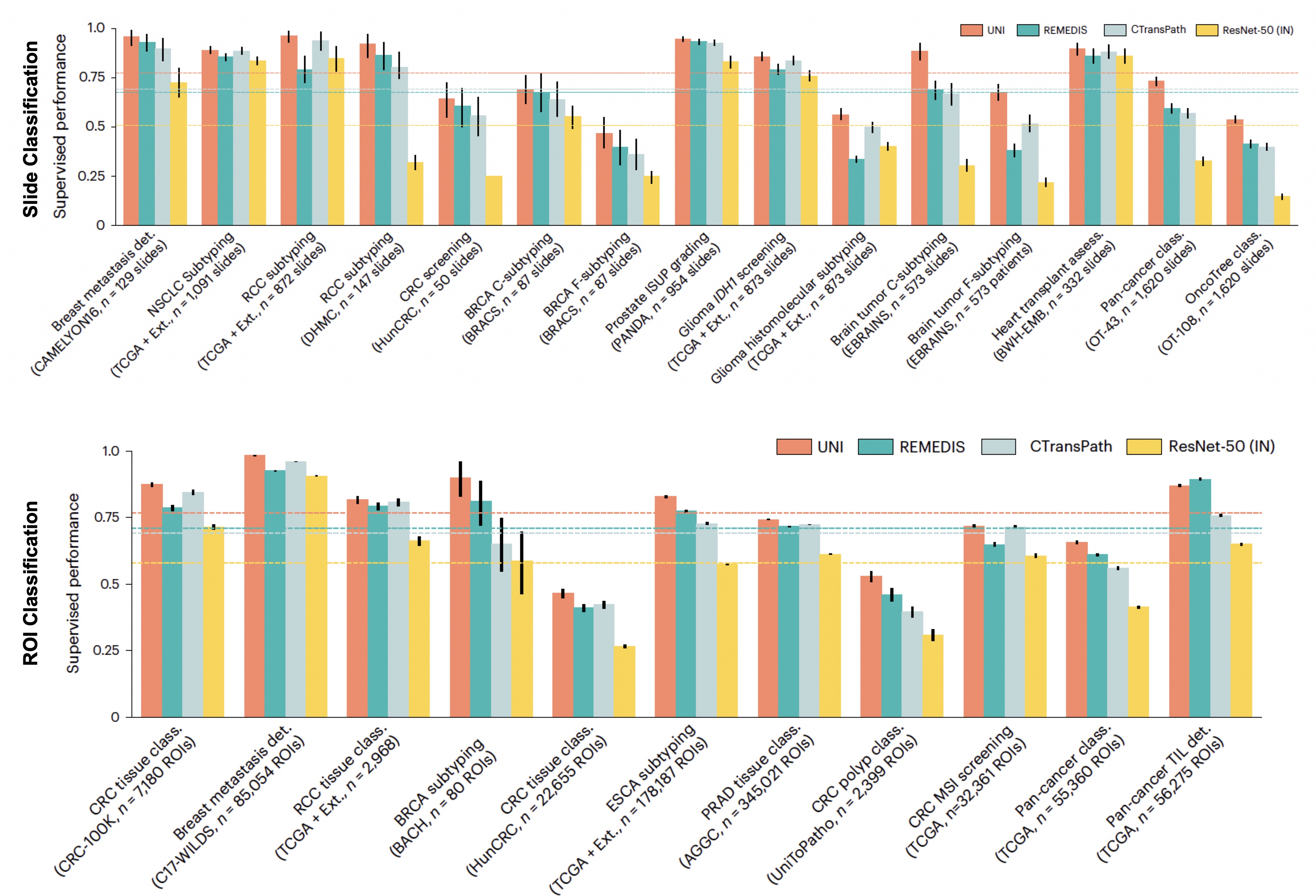 ROI and slide classification results