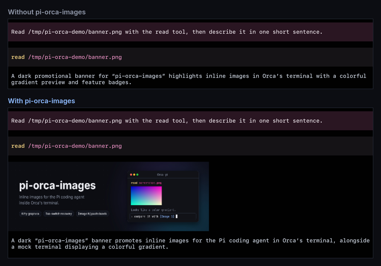 The same read of an image in Pi inside Orca: without the package only the tool card shows; with it, the image is drawn in full