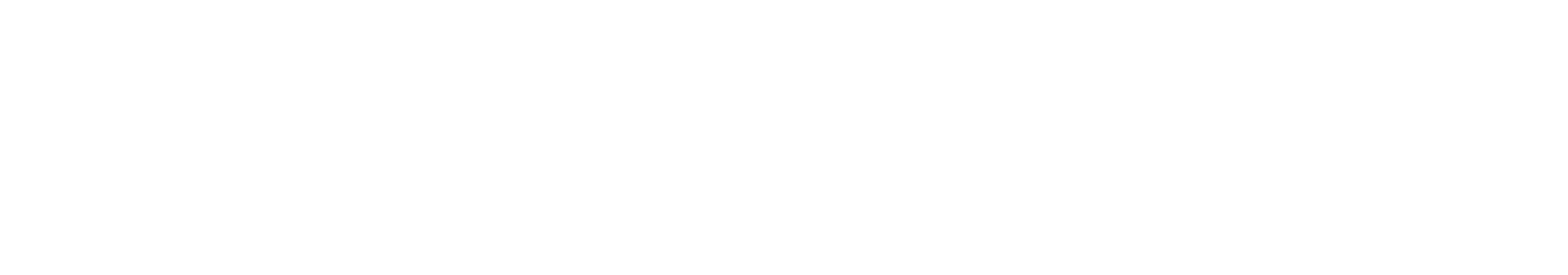 Newskill 2